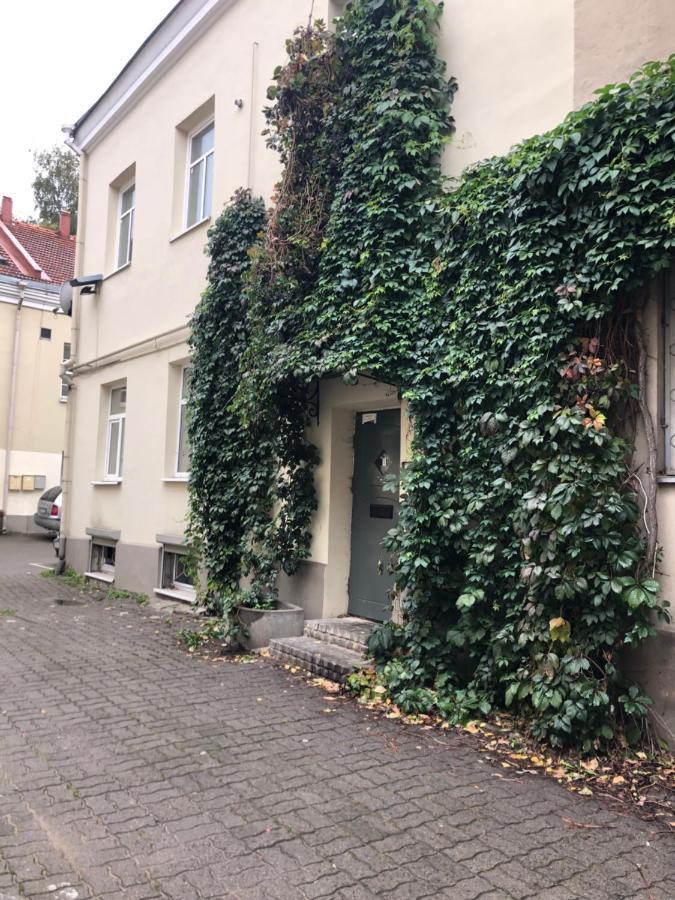 Angel House Vilnius, Dysnos Apartment Екстериор снимка